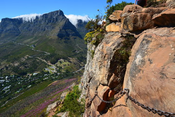Tafelberg - Lions Head - Kapstadt