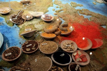spices on map