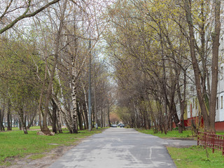 Naklejka premium Sidewalk without people, early spring, cloudy day