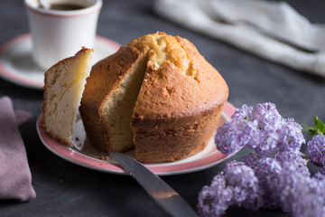 Homemade sponge cake with cream, flour, sugar, eggs and yeast. Delicious home made food.