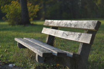 Naklejka premium wooden bench in the park
