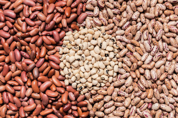 close up of assortment beans in line