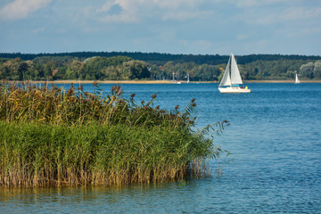 Żeglowanie na jeziorze Powidzkim