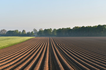 Fototapeta na wymiar plowed field in spring