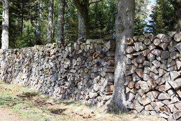 Holzstapel