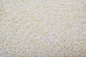 white rice background