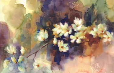 White magnolia flowers in bloom watercolor background © Egle