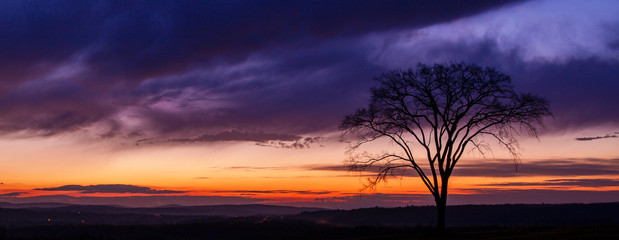 Obraz na płótnie Canvas Tree silhouette at dusk with dramatically lit sky and clouds