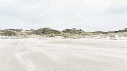 Dünenlandschaft an der Nordsee