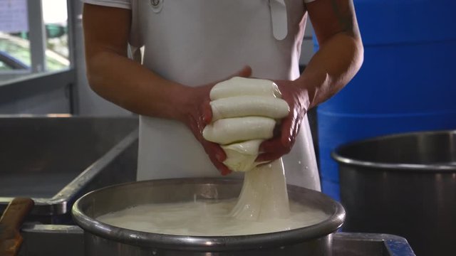 preparation of mozzarella in a dairy. mozzarella production: italian cheese factory, mozzarella, fresh cheese