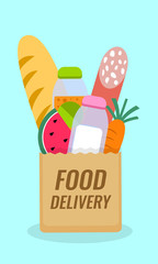 Food Delivery. Bag icon with food. Vector illustration