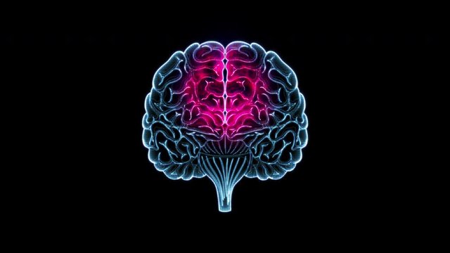 human brain motion loop