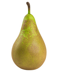 Green conference pear isolated on white background, clipping path, full depth of field