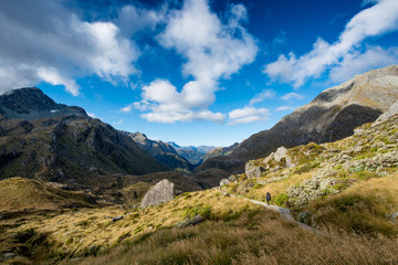 Fototapeta premium Routeburn Track, Fiordland National Park, New Zealand ルートバーントラック, フィヨルドランド国立公園, ニュージーランド