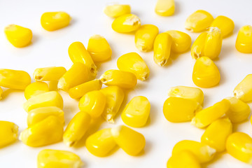 シンプルなとうもろこしのイメージ