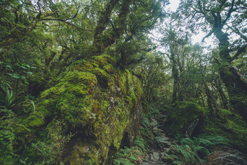 Fototapeta na wymiar Routeburn Track, Fiordland National Park, New Zealand ルートバーントラック, フィヨルドランド国立公園, ニュージーランド