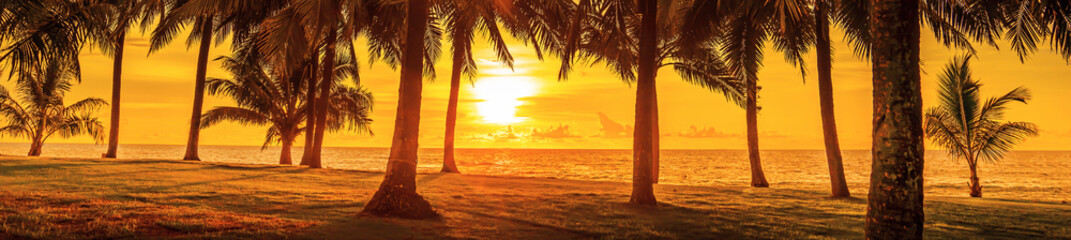 panorama, tropical sunset. palm trees and the sea. yellow tinting