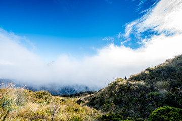 Fototapeta premium Routeburn Track, Fiordland National Park, New Zealand ルートバーントラック, フィヨルドランド国立公園, ニュージーランド