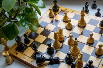 Wooden chess pieces on a chessboard, near the leaves of a green indoor flower, plant. The figures...