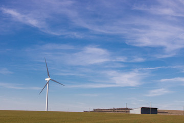 éoliennes dans des champs