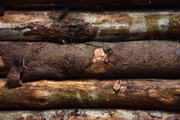 Background wooden texture old board