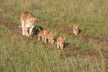 Family day out