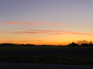 sunset over the field