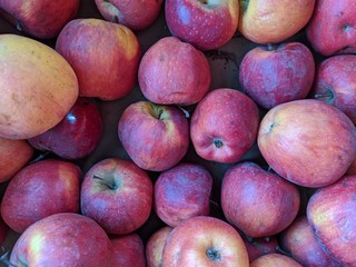 fresh red apples