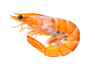 Cooked shrimps on white background.