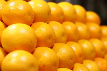 citrus fruits on the food market. 