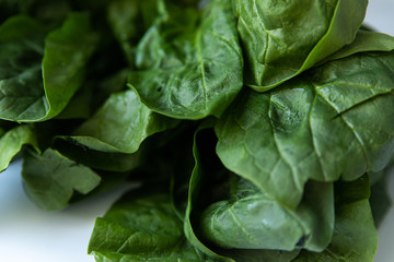 Bunch of green spinach on white background