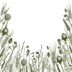 Square card with green meadow herbs, thistles and wild flowers.