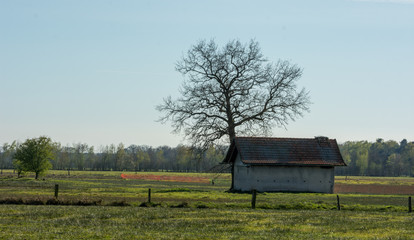 old barn in the field