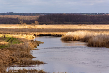 Narwiański Park Narodowy. Rzeka Narew. Szosa Kruszewska, Waniewo, Kurowo, Podlasie, Polska © podlaski49