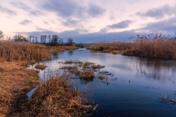 Narwiański Park Narodowy. Rzeka Narew. Szosa Kruszewska, Waniewo, Kurowo, Podlasie, Polska © podlaski49