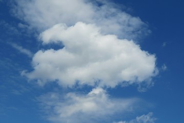 Fototapeta premium Fluffy cloud in blue sky, natural background