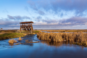 Narwiański Park Narodowy. Rzeka Narew. Szosa Kruszewska, Waniewo, Kurowo, Podlasie, Polska © podlaski49