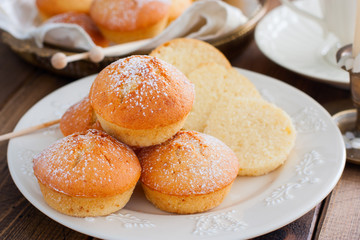Obraz na płótnie Canvas Homemade vanilla muffins sprinkled with icing sugar, selective focus