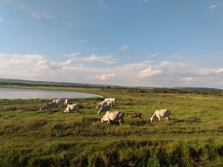 Obraz premium landscape