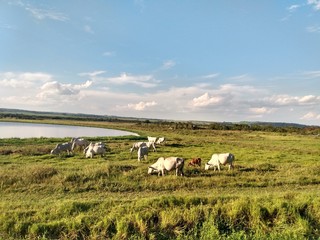 Fototapeta premium landscape