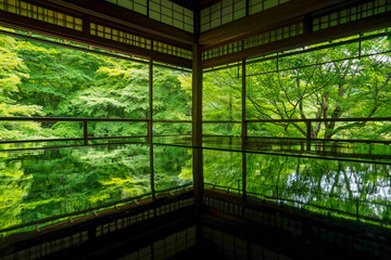 京都府京都市のお寺「瑠璃光院 春の特別拝観」にて新緑の映り込み