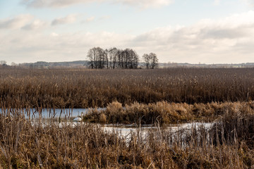 Narwiański Park Narodowy. Rzeka Narew. Szosa Kruszewska, Waniewo, Kurowo, Podlasie, Polska © podlaski49