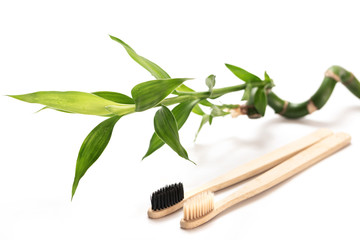Eco-friendly toothbrushes and bamboo plant