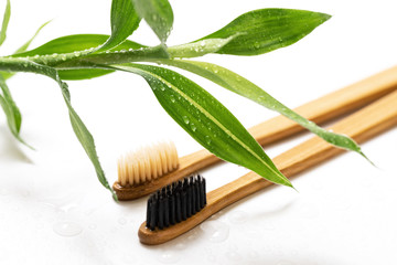 Bamboo toothbrushes on white background