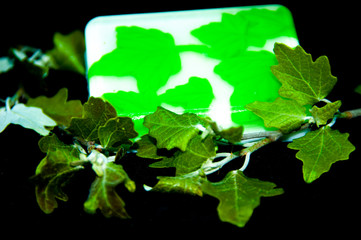 handmade soap poplar leaves. natural green soap.