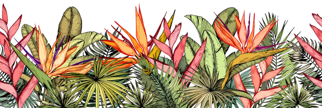Seamless border with tropical palm leaves, exotic heliconia and strelitzia flowers.