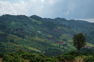 Obraz premium Hill tribe corn plantations and forests during the rainy season in northern Thailand