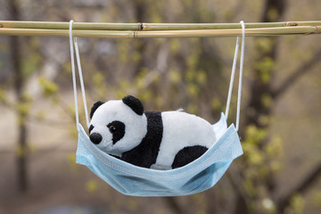 A soft toy panda lies inside a blue medical mask