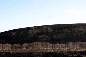 Burnt black earth as a result of artificial grass burning in the spring. Harm to nature.