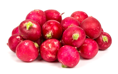fresh radish on a white background